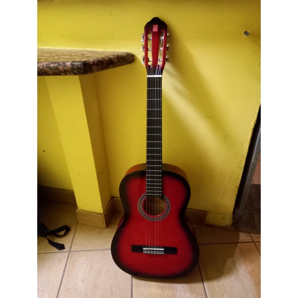 Kalsikinė gitara MSA C24